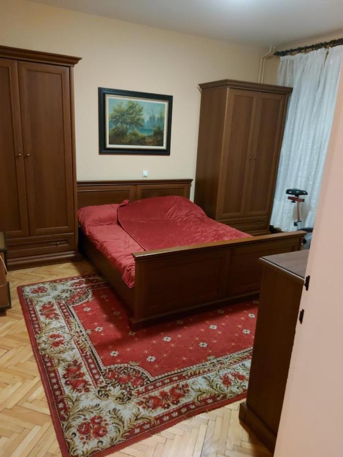 Danica I Vuk Apartment Ni Екстериор снимка